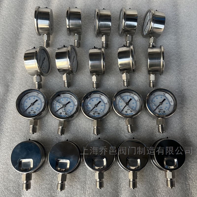 LGMZ膜片式脉冲阻尼器压力表